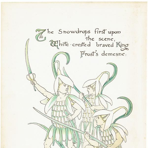 륿쥤 FLORA'S FEASTʥեζ±ˡ 1889ǯ  | ΡɥåסSnowdrops 1104