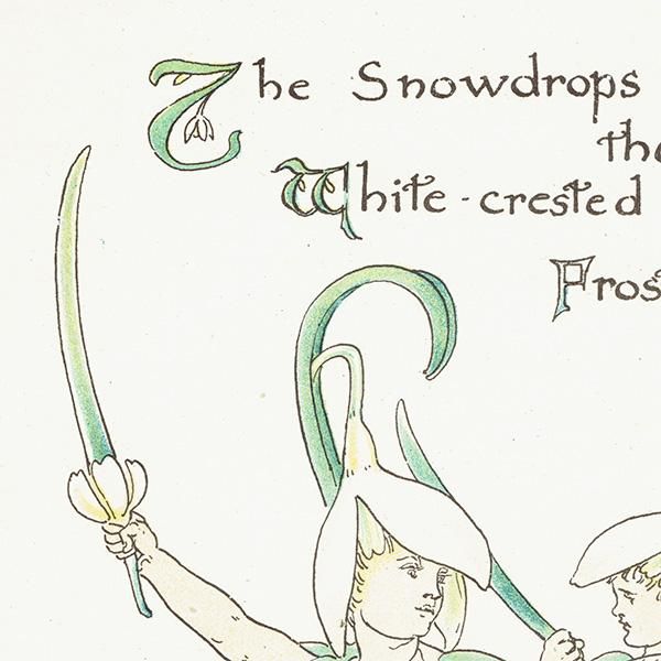 륿쥤 FLORA'S FEASTʥեζ±ˡ 1889ǯ  | ΡɥåסSnowdrops 1104