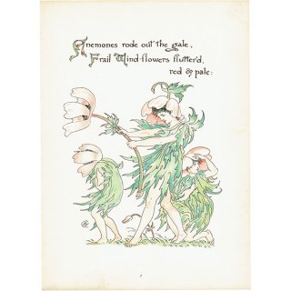 ウォルター・クレイン 「FLORA'S FEAST（フローラの饗宴）」 1889年 初版 | アネモネ（Anemones）