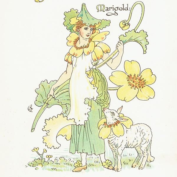 륿쥤 FLORA'S FEASTʥեζ±ˡ 1889ǯ  | ޡ塦ޥ꡼ɡMarsh Marigold