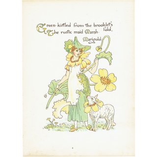 ウォルター・クレイン 「FLORA'S FEAST（フローラの饗宴）」 1889年 初版 | マーシュ・マリーゴールド（Marsh Marigold）