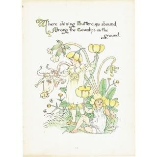 륿쥤 FLORA'S FEASTʥեζ±ˡ 1889ǯ  | Хå / ݥButtercups