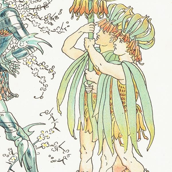 륿쥤 FLORA'S FEASTʥեζ±ˡ 1889ǯ  | ֥åʥȤȥ饦󥤥ڥꥢ 1113