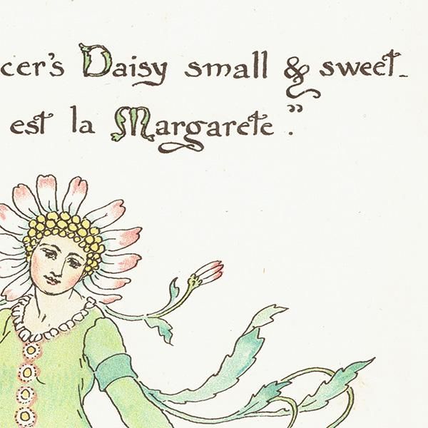 륿쥤 FLORA'S FEASTʥեζ±ˡ 1889ǯ  | ǥȥޡåȡDaisy / Margarete 1118