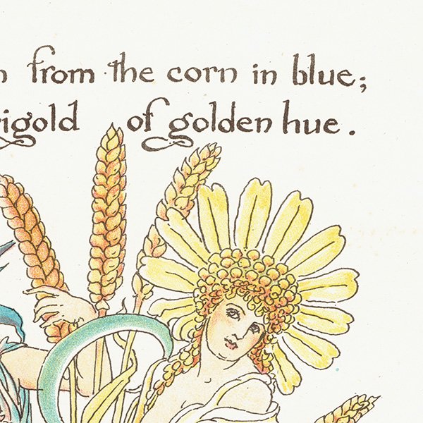 륿쥤 FLORA'S FEASTʥեζ±ˡ 1889ǯ  | ޥ꡼ Corn Marigold