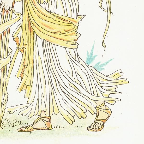 륿쥤 FLORA'S FEASTʥեζ±ˡ 1889ǯ  | ޥ꡼ Corn Marigold 1133