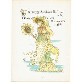 ウォルター・クレイン 「FLORA'S FEAST（フローラの饗宴）」 1889年 初版 | ひまわり （Sunflower）