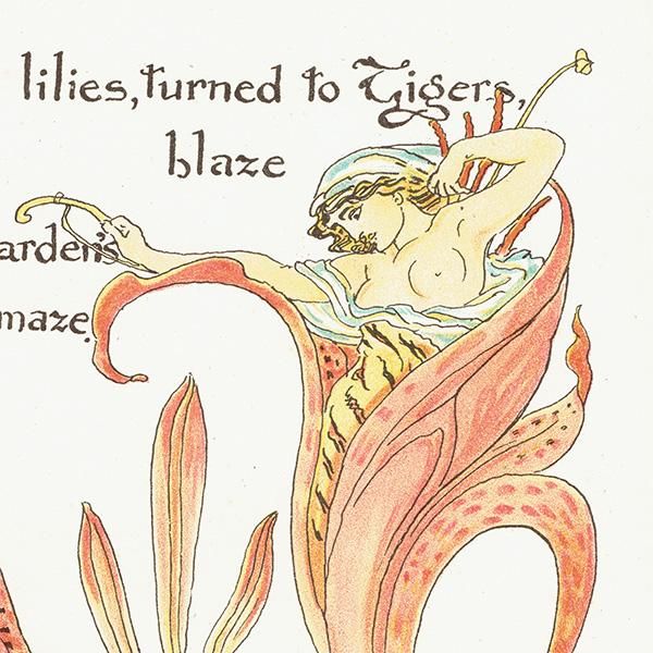 ウォルター・クレイン 「FLORA'S FEAST（フローラの饗宴