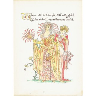 ウォルター・クレイン 「FLORA'S FEAST（フローラの饗宴）」 1889年 初版 | クリサンセマム 菊 （Chrysanthemum）