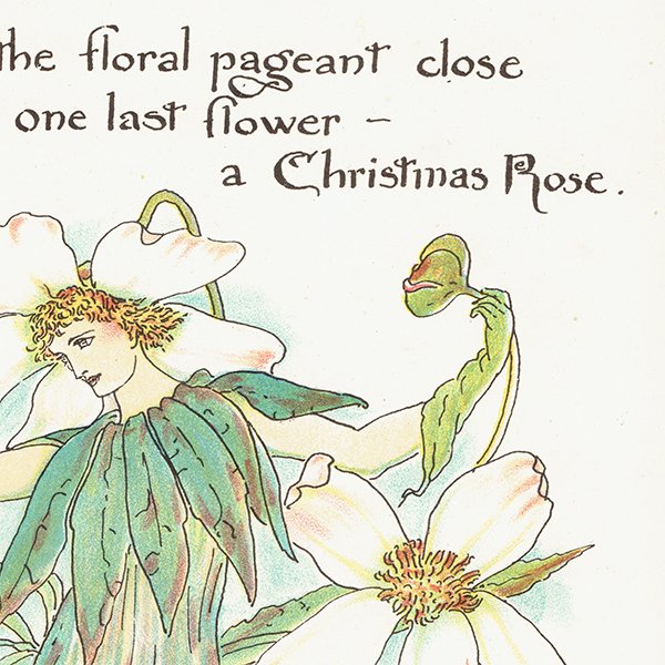 ウォルター・クレイン 「FLORA'S FEAST（フローラの饗宴）」 1889年 初版 | クリスマスローズ （Christmas Rose）