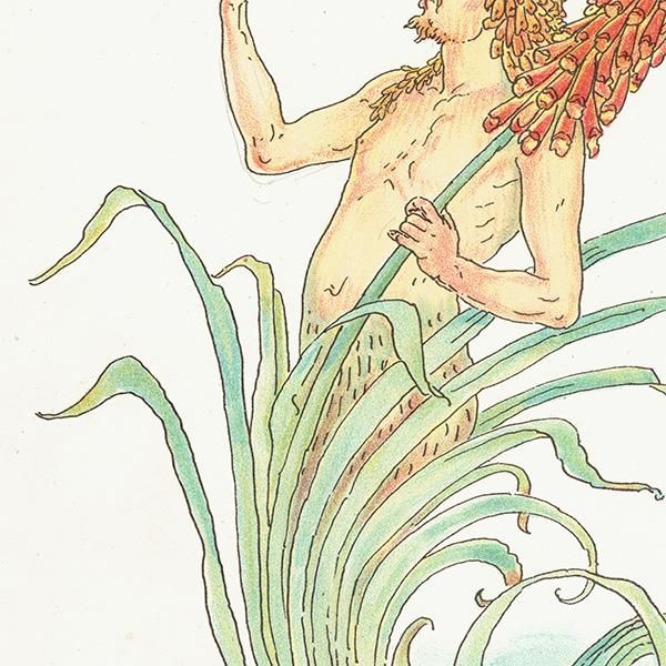 륿쥤 FLORA'S FEASTʥեζ±ˡ 1889ǯ  |  1137