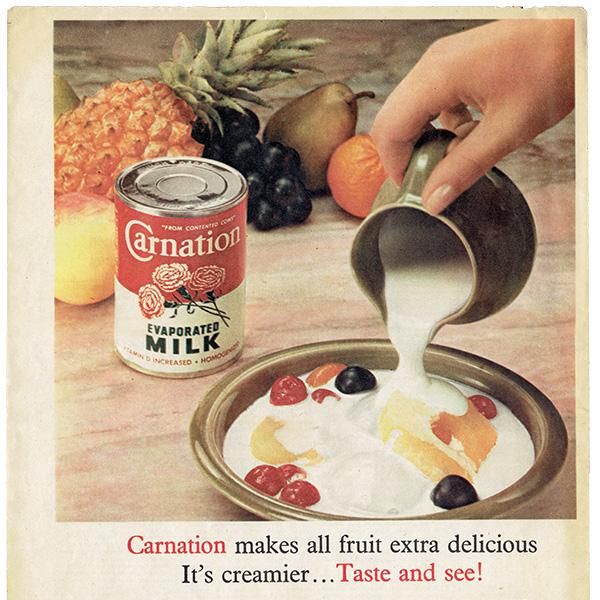 Carnation evaporated MILK ꥹθŤ 1950ǯ  (ơץ) 0307