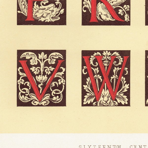 装飾写本 / アルファベット イルミネーション イギリス アンティーク 版画 リトグラフ  0174