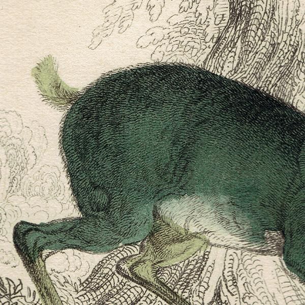 イギリスantique 円盤型 絵画 肉質画 - メルカリ