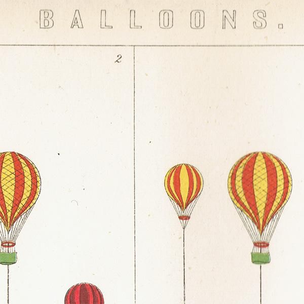 BALLOONS Υƥץ ꥹ | William Mackenzieʥꥢࡦޥå󥸡  NE1101