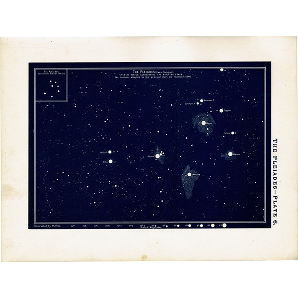 天文学】 プレアデス星団 The Pleiades 1890年 イギリス アンティーク