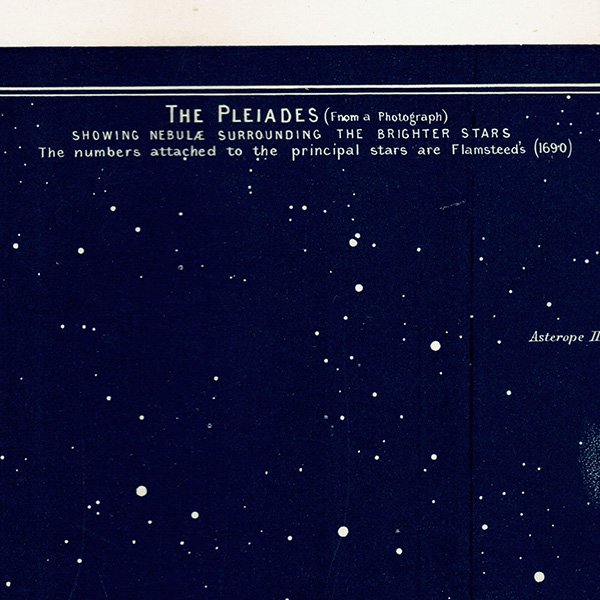 ŷʸء ץ쥢ǥ The Pleiades 1890ǯ ꥹ ƥ ץ | 0061
