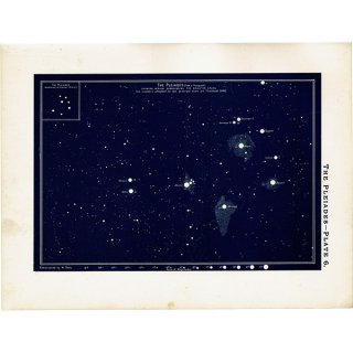 【天文学】 プレアデス星団 The Pleiades 1890年 イギリス アンティーク プリント | 0061