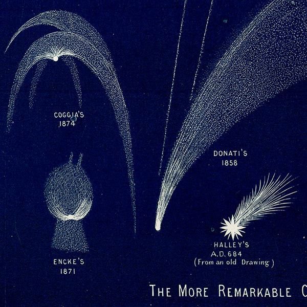 天文学】 彗星 Comets 1890年 ハレー彗星など イギリス アンティーク プリント | 0063 天文学】 彗星 Comets 1890年 ハレー彗星など イギリス アンティーク プリント | 0063