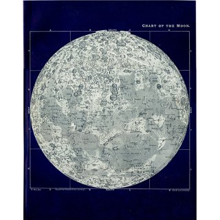 【天文学】 月の図 Chart of the Moon 1890年 イギリス アンティーク プリント | 0066