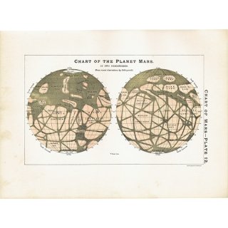 【天文学】 火星の図 Chart of the Planet Mars 惑星 1890年 イギリス アンティーク プリント | 0067