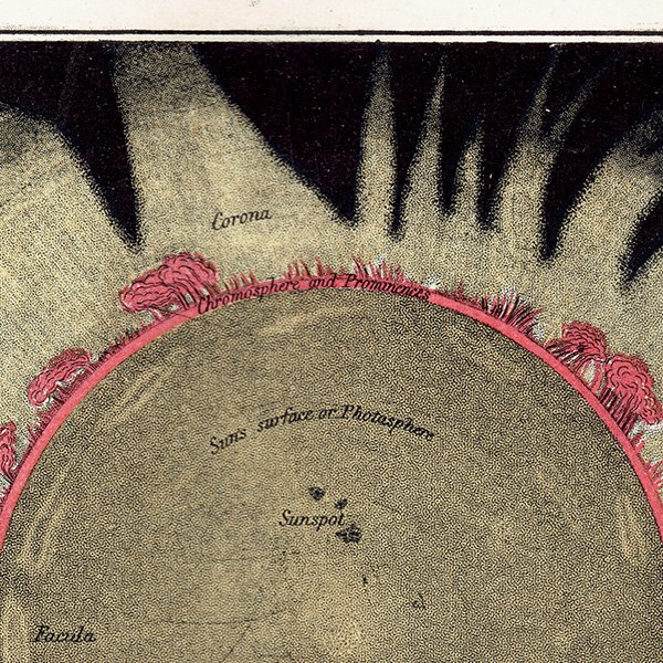 天文学】 太陽 The Sun 1890年 イギリス アンティーク プリント | 0072