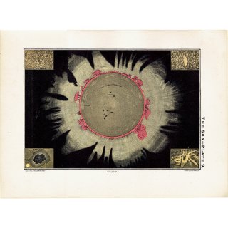 【天文学】 太陽 The Sun  1890年 イギリス アンティーク プリント | 0072