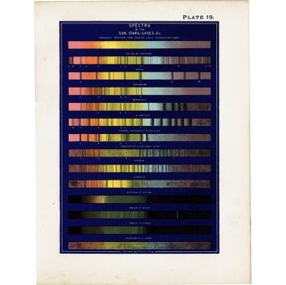 【天文学】 太陽、星、ガスなどのスペクトル Spectra of the Sun, Stars, Gases, & c  1890年 イギリス アンティーク プリント | 0081