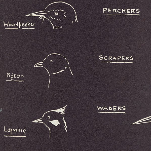 鳥の種類� （Type of Birds I）鳥の頭  イギリス 1930年代 1108