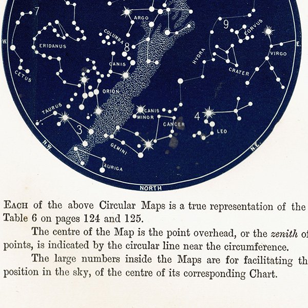 ŷʸء ŷο Ⱦ ¥ޥå Map for the Southern Hemisphere No.13No.16  1890ǯ ꥹ ƥ ץ | 0097