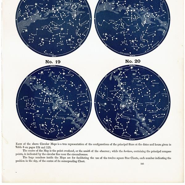 天文学】 天体図 南半球 星座マップ Map for the Southern 天文学】 天体図 南半球 星座マップ Map for the Southern