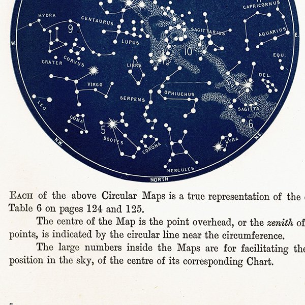 天文学】 天体図 南半球 星座マップ Map for the Southern Hemisphere