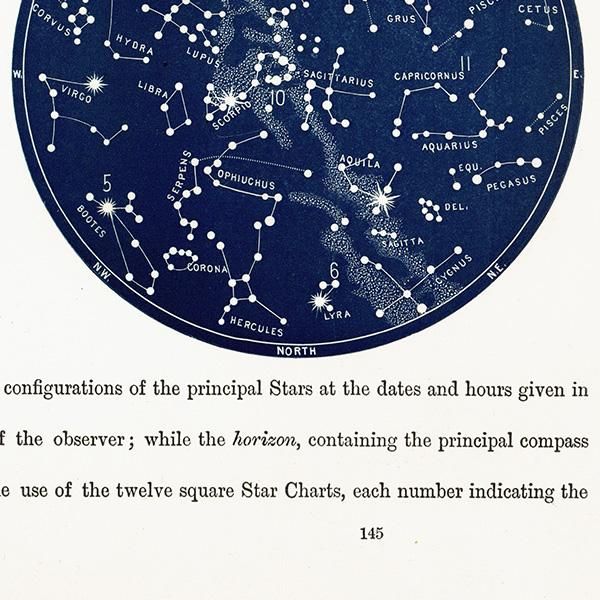天文学】 天体図 南半球 星座マップ Map for the Southern 天文学】 天体図 南半球 星座マップ Map for the Southern