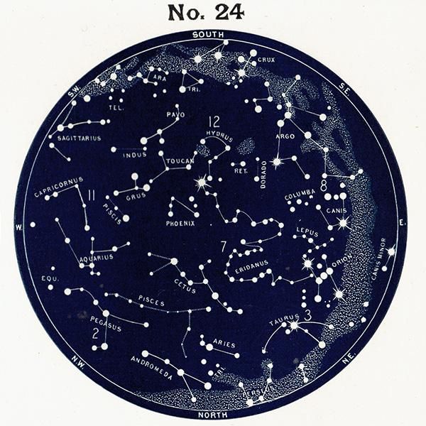天文学】半球の星マップ アンティークプリント 0058