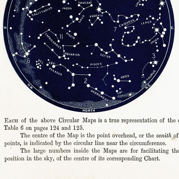 天文学】 天体図 南半球 星座マップ Map for the Southern 天文学】 天体図 南半球 星座マップ Map for the Southern