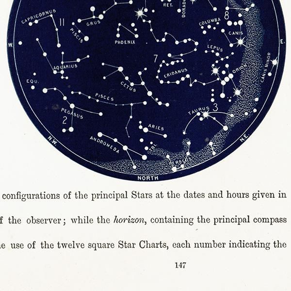 天文学】 天体図 南半球 星座マップ Map for the Southern