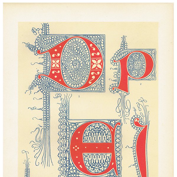 装飾写本 / アルファベット イルミネーション イギリス アンティーク 版画 リトグラフ  0172