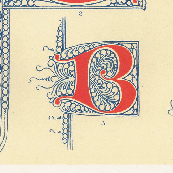 装飾写本 / アルファベット イルミネーション イギリス アンティーク 版画 リトグラフ  0172