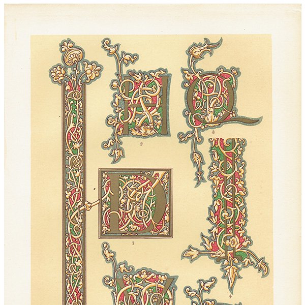 装飾写本 / アルファベット イルミネーション イギリス アンティーク 版画 リトグラフ  0173