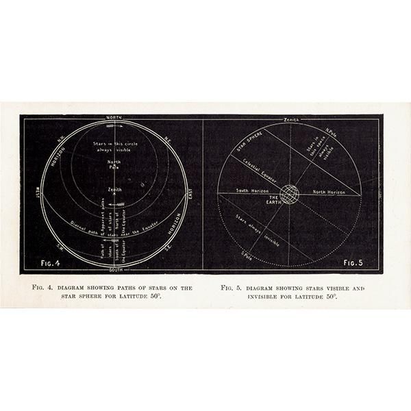 ŷʸء 50ηϩ / 50Ǹȸʤ  1890ǯ ꥹ ƥ ץ | 0102