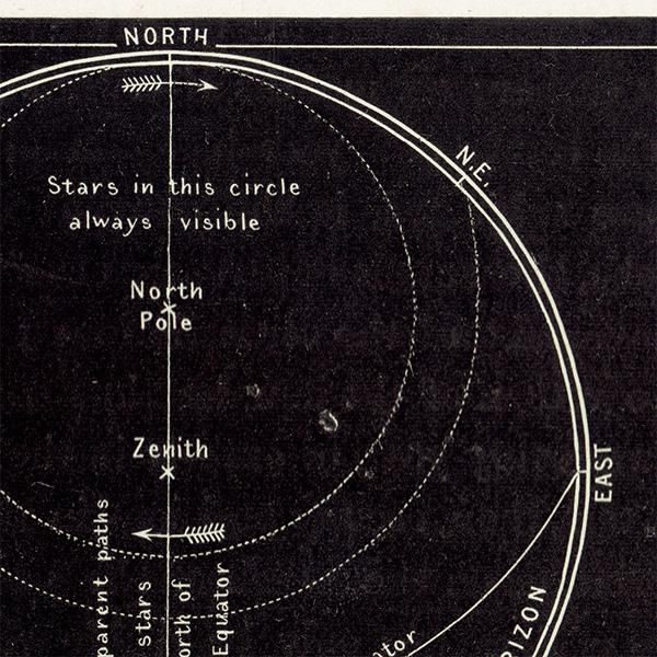 ŷʸء 50ηϩ / 50Ǹȸʤ  1890ǯ ꥹ ƥ ץ | 0102