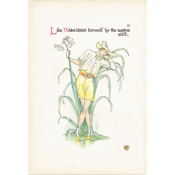 륿쥤Walter Crane A Flower Weddingʥեǥ󥰡ˡ 1905ǯ  | 1142