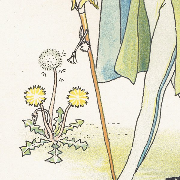 륿쥤Walter Crane A Flower Weddingʥեǥ󥰡ˡ 1905ǯ  | 1143