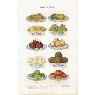 ミセスビートンの家政読本より アーティチョークや芽キャベツなど野菜 1906年 イギリスアンティークプリント  0043
