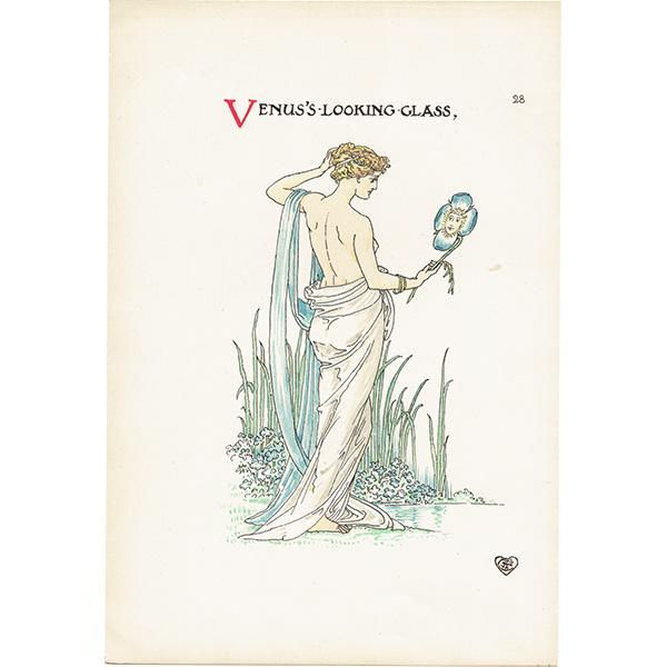 륿쥤Walter Crane A Flower Weddingʥեǥ󥰡ˡ  1905ǯ  | 1149