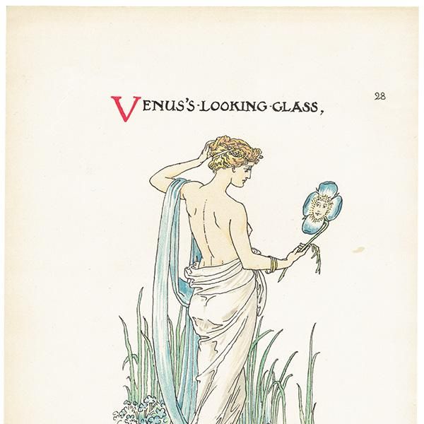 륿쥤Walter Crane A Flower Weddingʥեǥ󥰡ˡ  1905ǯ  | 1149