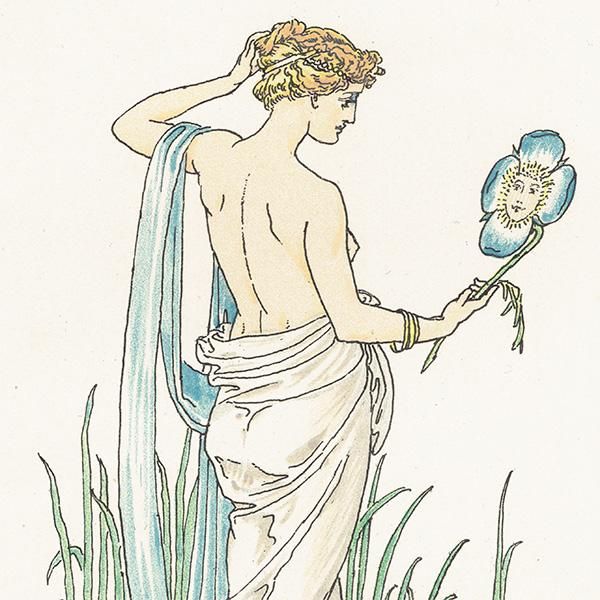 륿쥤Walter Crane A Flower Weddingʥեǥ󥰡ˡ  1905ǯ  | 1149