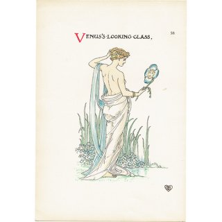 ウォルター・クレイン（Walter Crane） 「A Flower Wedding（フラワー・ウェディング）」  1905年 初版 | 1149