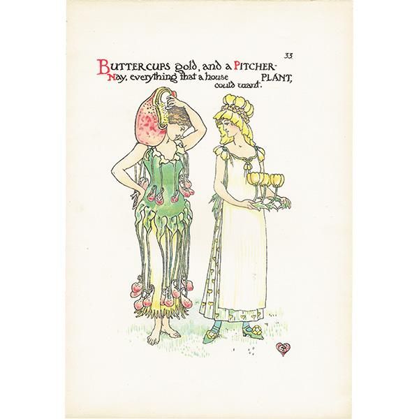 륿쥤Walter Crane A Flower Weddingʥեǥ󥰡ˡ  ĥܥȥХå 1905ǯ  | 1151
