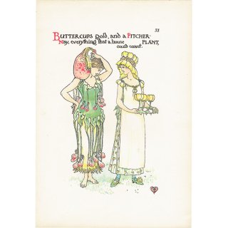 ウォルター・クレイン（Walter Crane） 「A Flower Wedding（フラワー・ウェディング）」  ウツボカズラとバターカップ 1905年 初版 | 1151